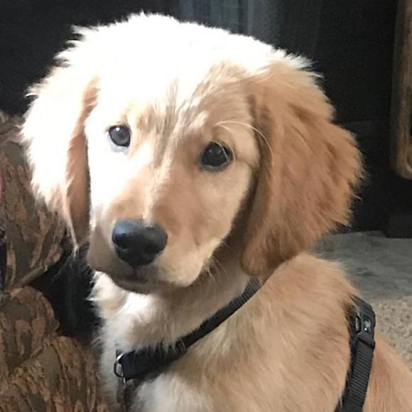 Meet your Posher, Kate - Picture 1 of 1